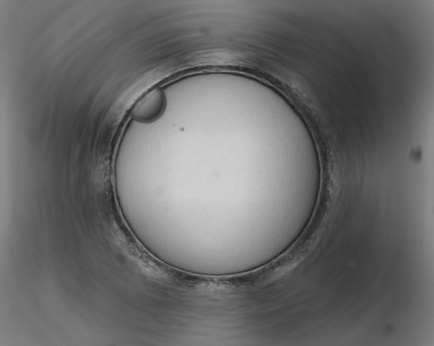 X0000116511073200912231228