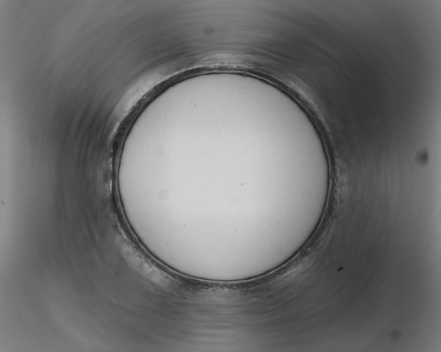 X0000116511075200912231228