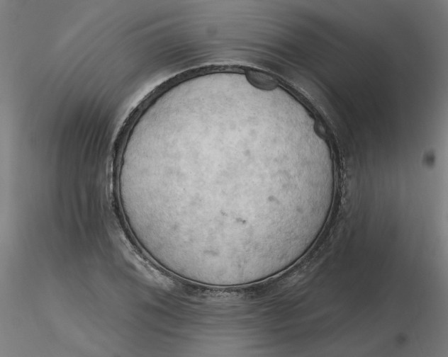 X0000116511076200912231228