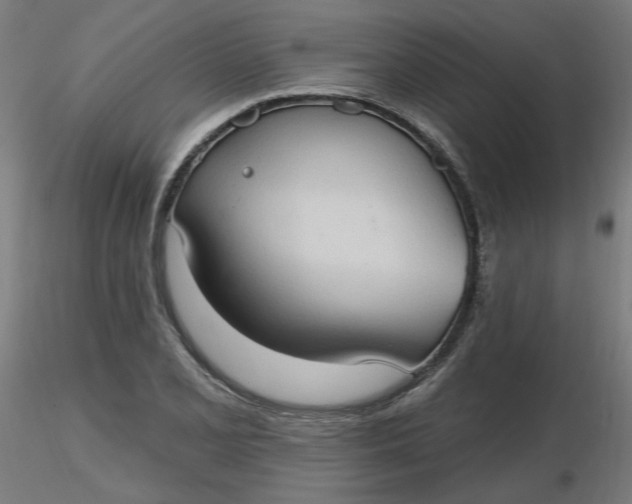 X0000116511077200912231228