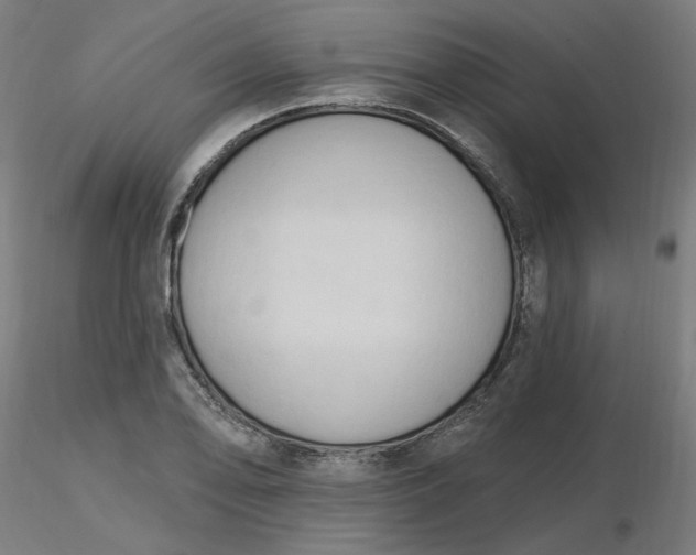 X0000116511078200912231228