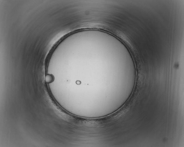 X0000116511079200912231228