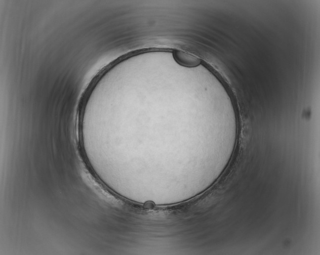 X0000116511080200912231228