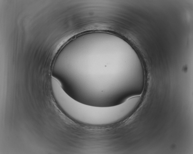 X0000116511081200912231228