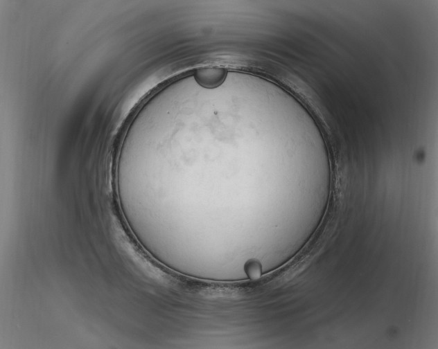 X0000116511083200912231228