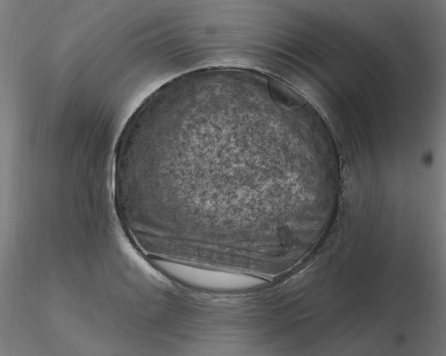 X0000116511084200912231228