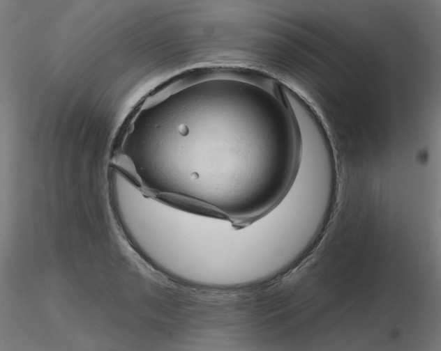 X0000116511085200912231228