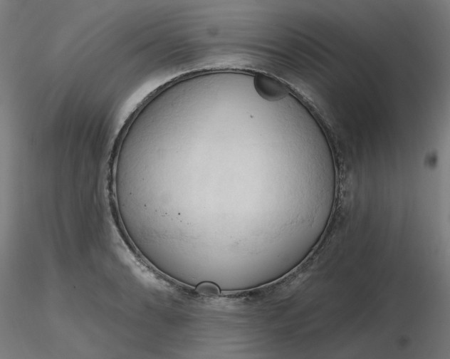 X0000116511086200912231228