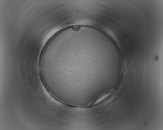 X0000116511087200912231228