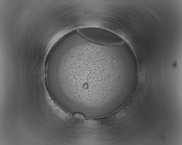 X0000116511088200912231228