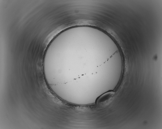 X0000116511089200912231228