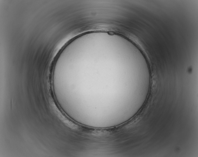 X0000116511091200912231228