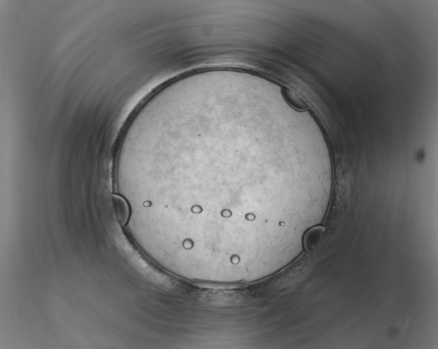 X0000116511092200912231228