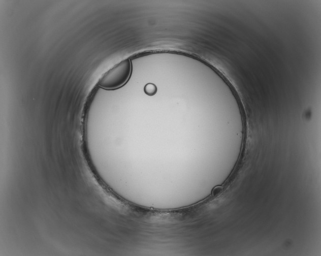 X0000116511093200912231228