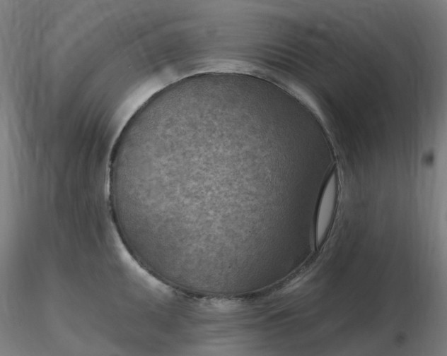 X0000116511095200912231228