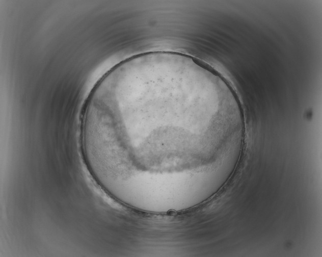 X0000116511096200912231228