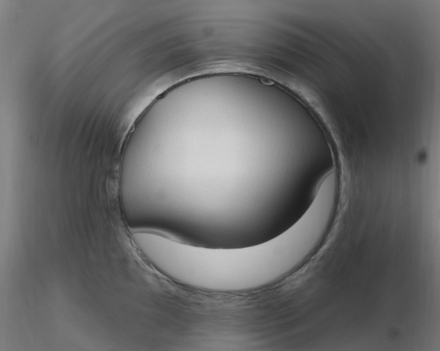 X0000116511097200912231228