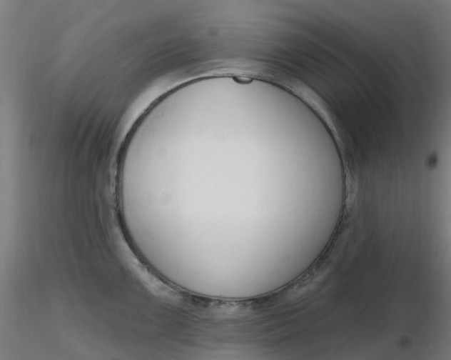 X0000116511099200912231228