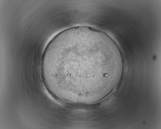 X0000116511100200912231228