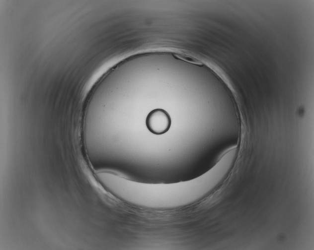 X0000116511101200912231228