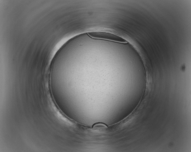 X0000116511102200912231228