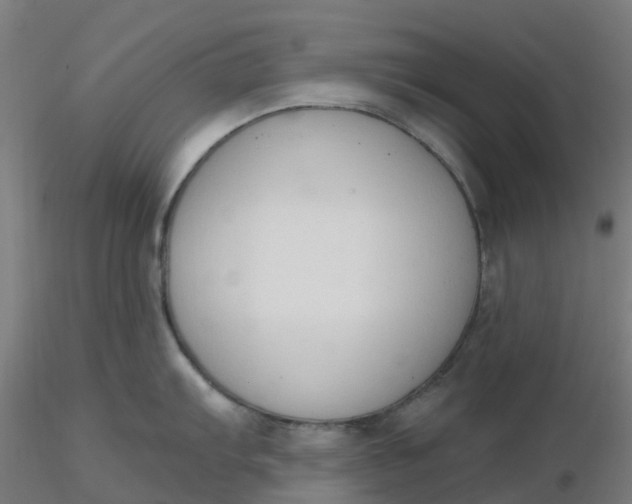 X0000116511103200912231228