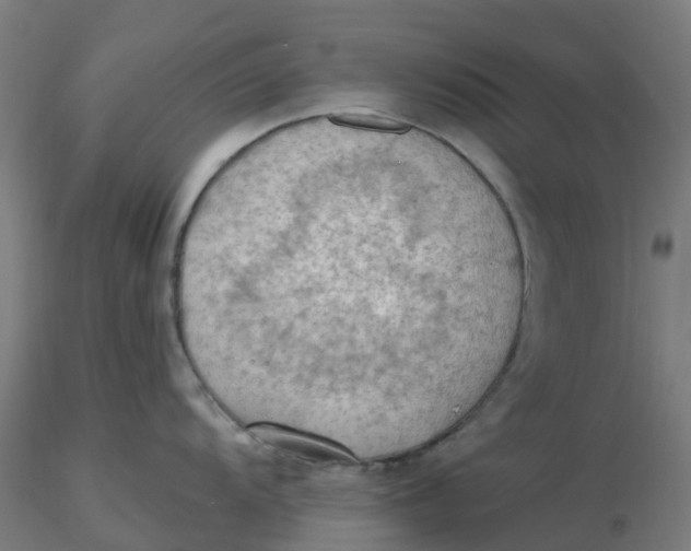 X0000116511104200912231228