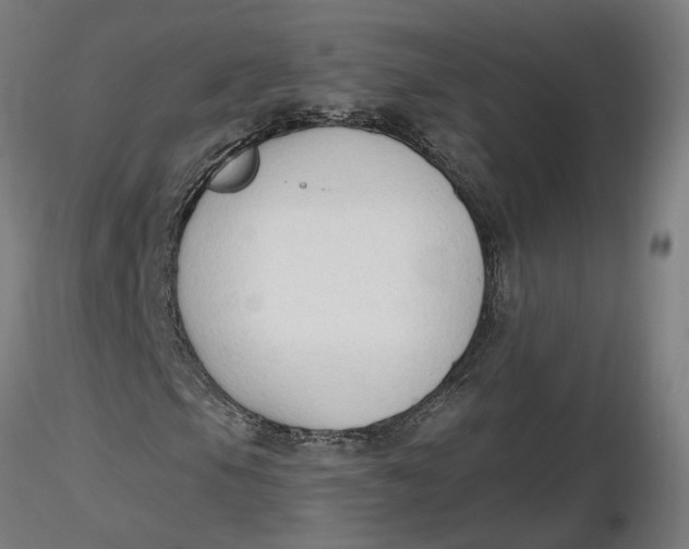 X0000116511105200912231227