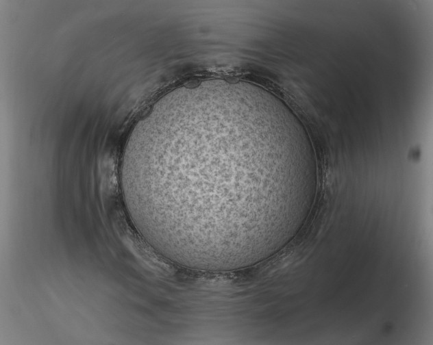 X0000116511106200912231227