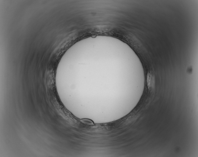 X0000116511107200912231227