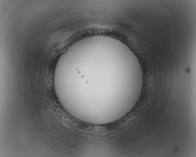 X0000116511109200912231227