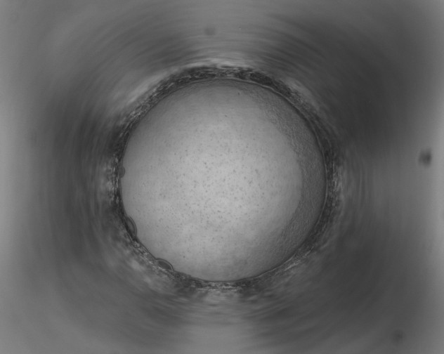 X0000116511110200912231227