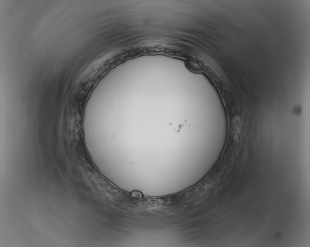 X0000116511111200912231227