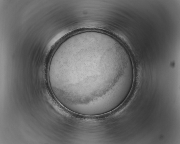 X0000116511114200912231227