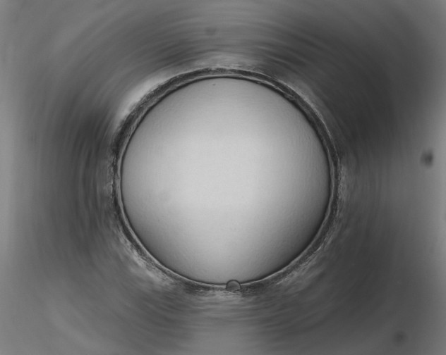 X0000116511115200912231227