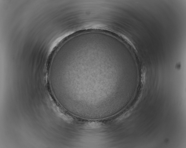 X0000116511117200912231227