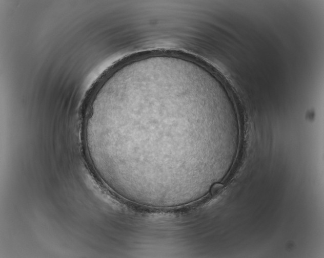 X0000116511118200912231227