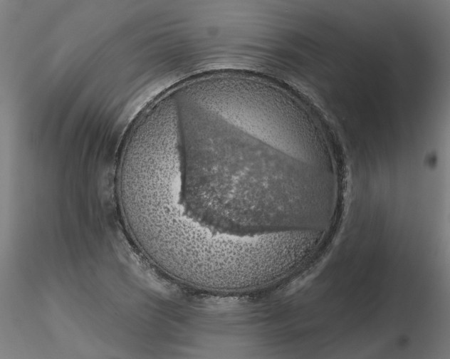 X0000116511121200912231228