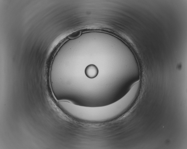 X0000116511122200912231228