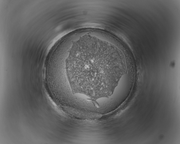 X0000116511125200912231228