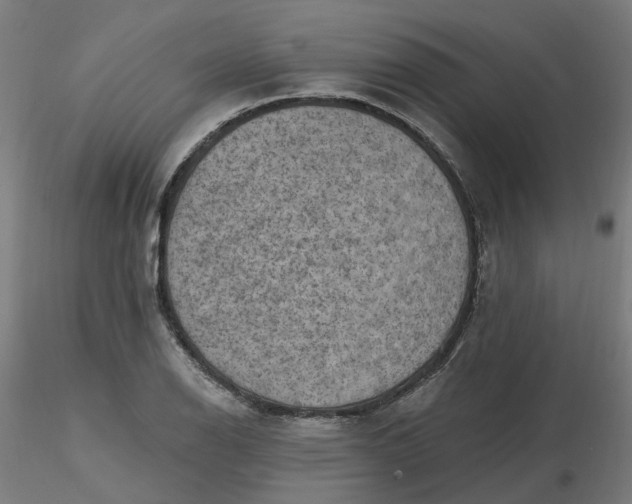 X0000116511126200912231228