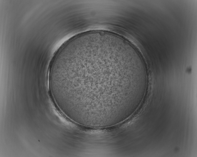 X0000116511127200912231228