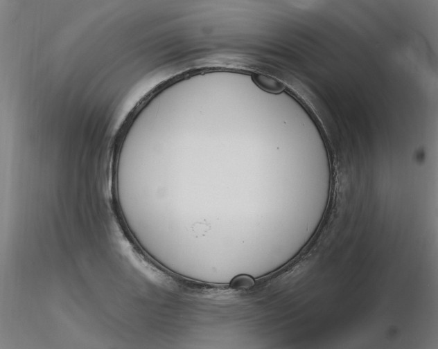 X0000116511131200912231228