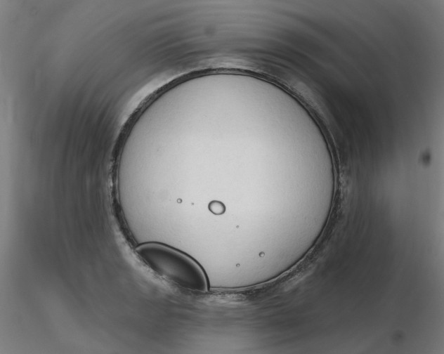 X0000116511133200912231228