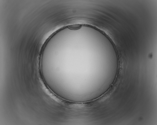 X0000116511134200912231228