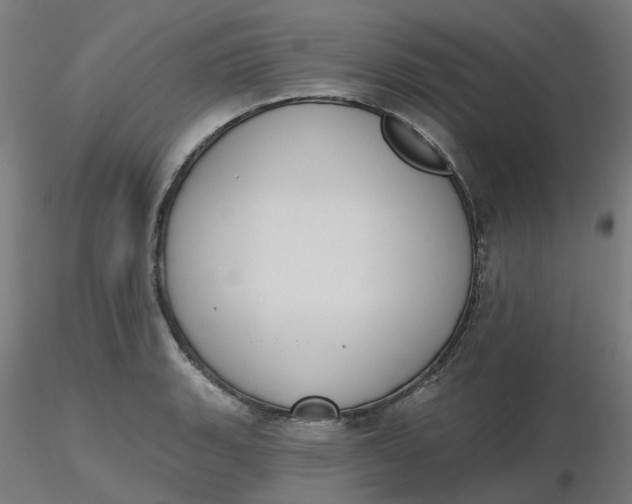 X0000116511135200912231228