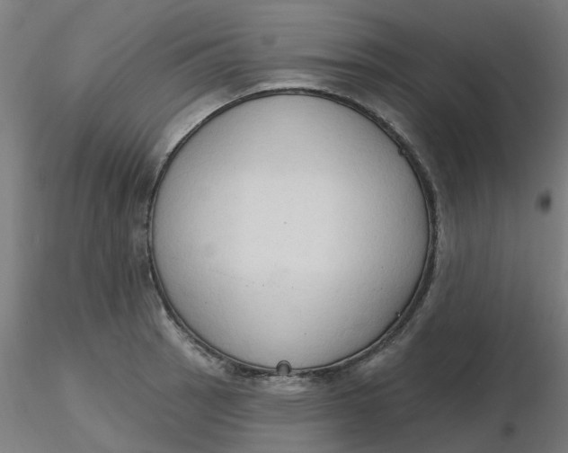 X0000116511137200912231228