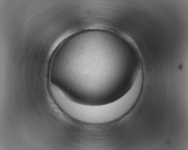 X0000116511138200912231228