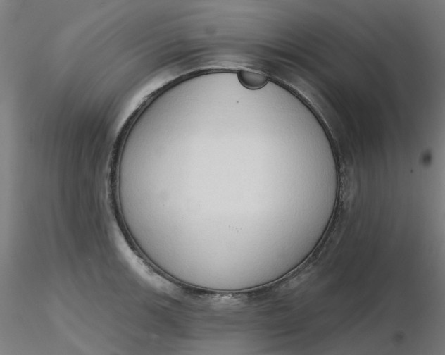 X0000116511139200912231228