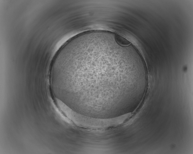 X0000116511141200912231228